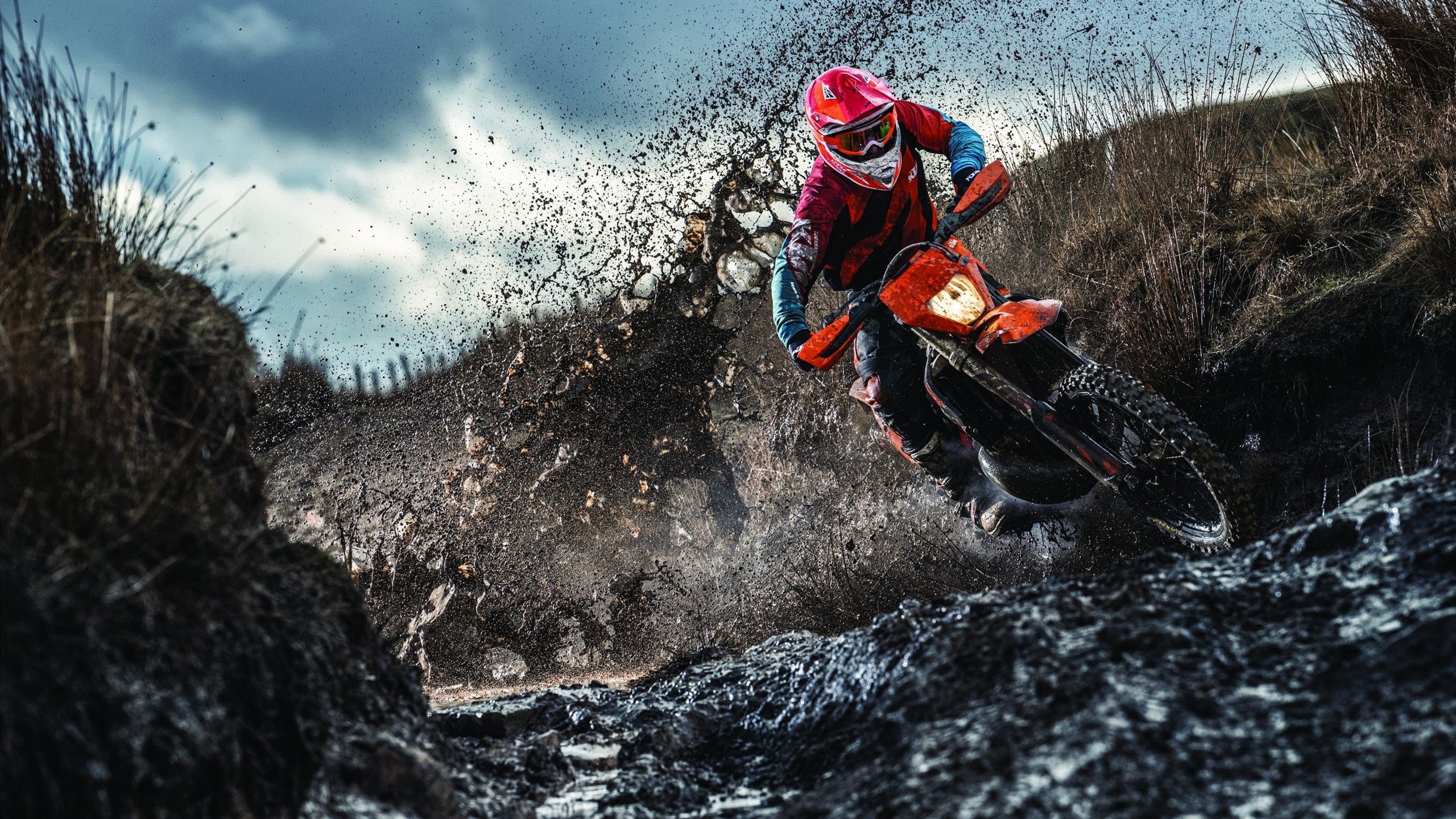 体育世界最励志故事,体育励志故事100字左右